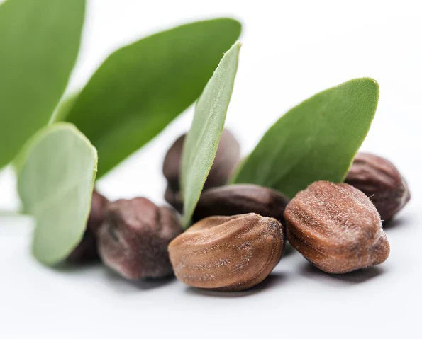 Why Jojoba Oil is Taking Over the Skincare World
